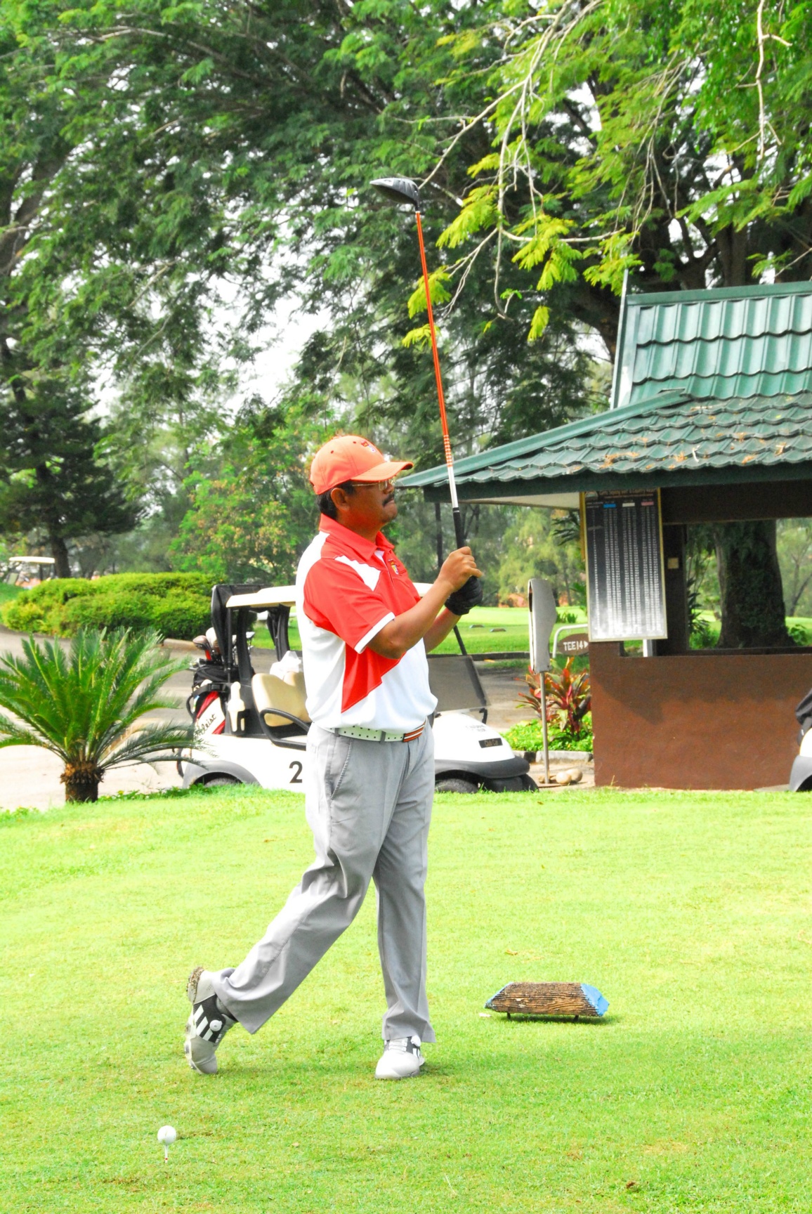 PRO15 157 GOLF DSC 0339.JPG